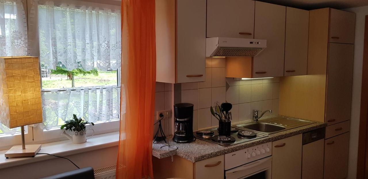 Apartment Alfenz *
